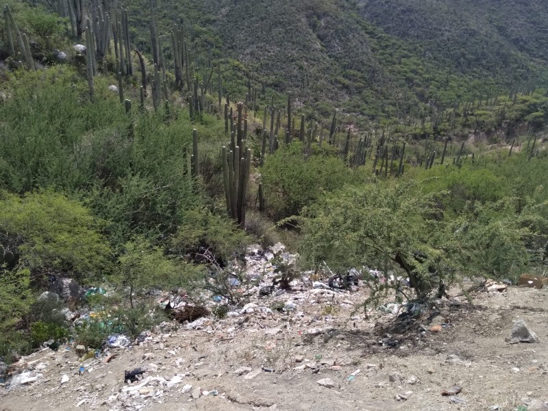 Proliferan tiraderos clandestinos en RBTC, a orilla de carretera Tehuacán-Huajuapan