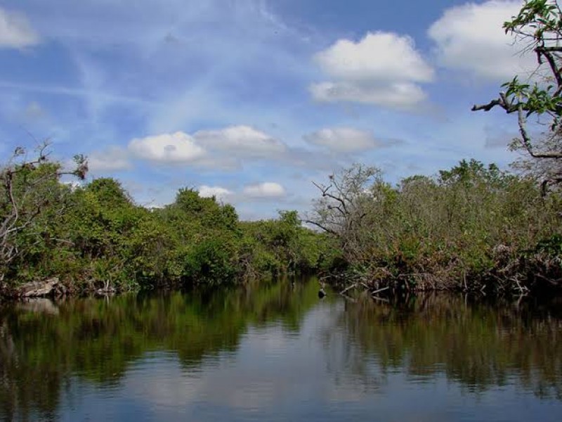 Promueve INAPESCA manejo sustentable de especies en Marismas Nacionales Nayarit