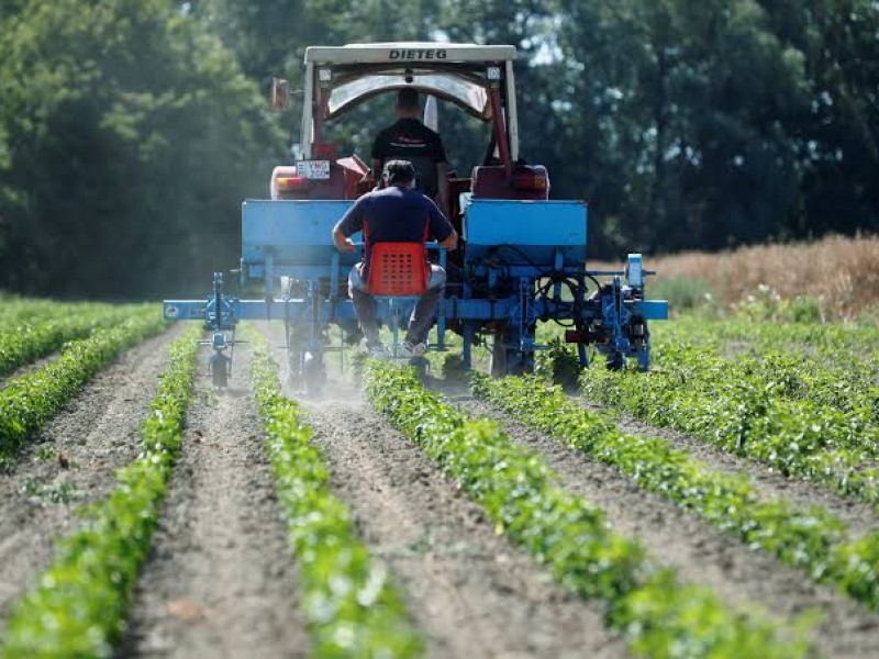 Promueven buenas prácticas agrícolas para garantizar inocuidad de alimentos