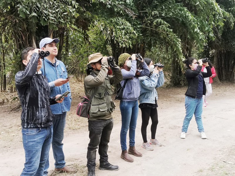 Promueven cuidado de las aves mediante programa de aves urbanas