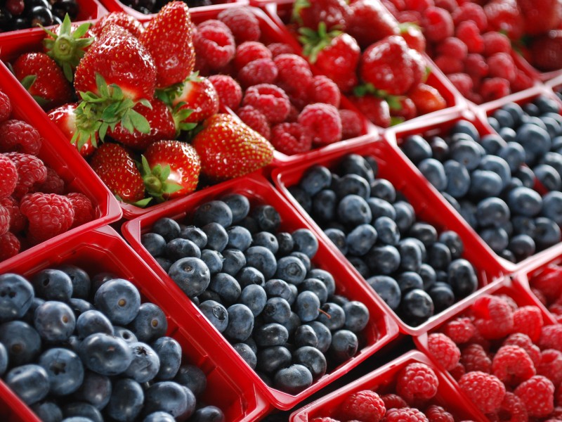 Promueven cumplimiento de reglamentación de inocuidad en cultivos de berries