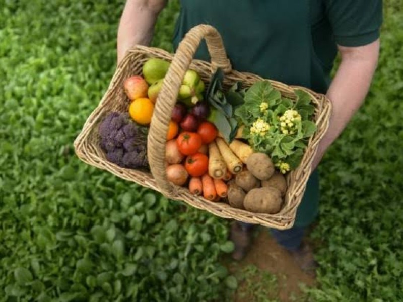 Promueven el programa de alimentación sustentable en Jacona