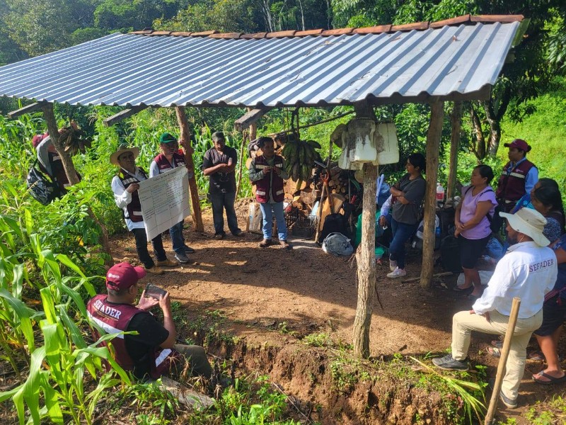 Promueven innovaciones en cultivo de maíz en Panixtlahuaca