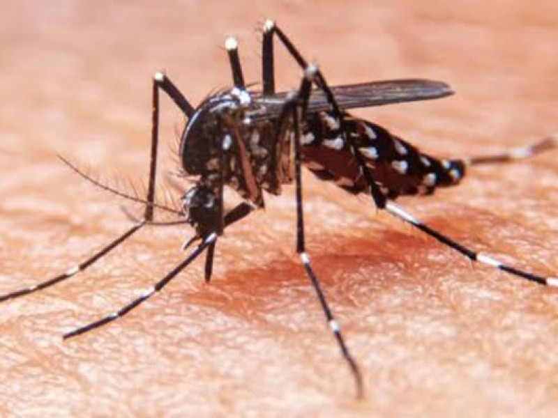 Promueven medidas contra el dengue en Jacona