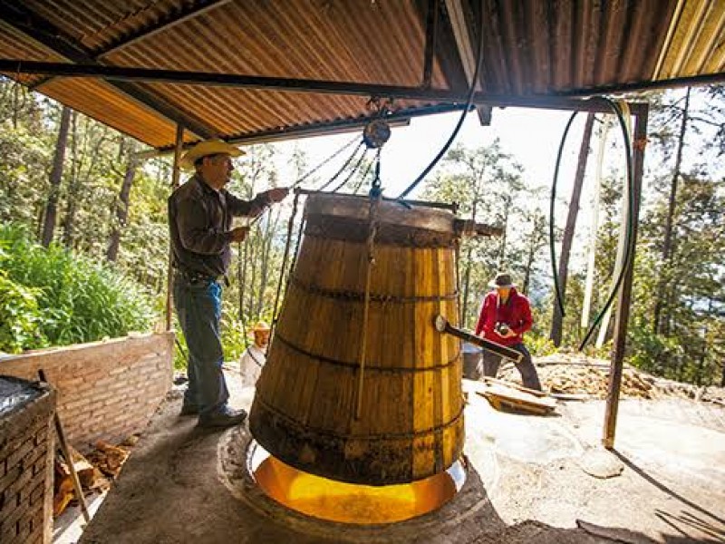 Promueven reactivación turística de la ruta del mezcal en Sahuayo