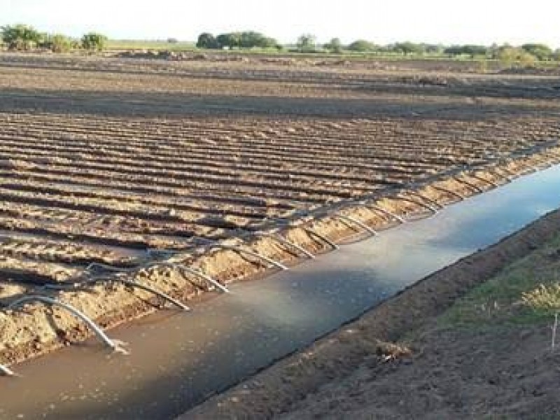 Promueven segundo uso de agua tratada para riego de cultivos