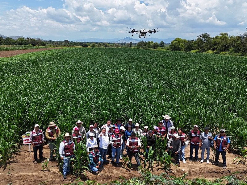 Promueven uso de drones agrícolas para fortalecer el campo oaxaqueño