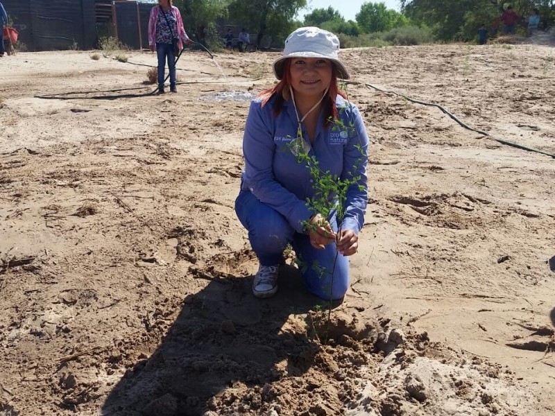 ProNatura combate cambio climático con reforestación