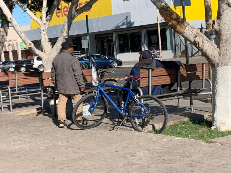 Pronostican descenso de temperatura para la próxima semana