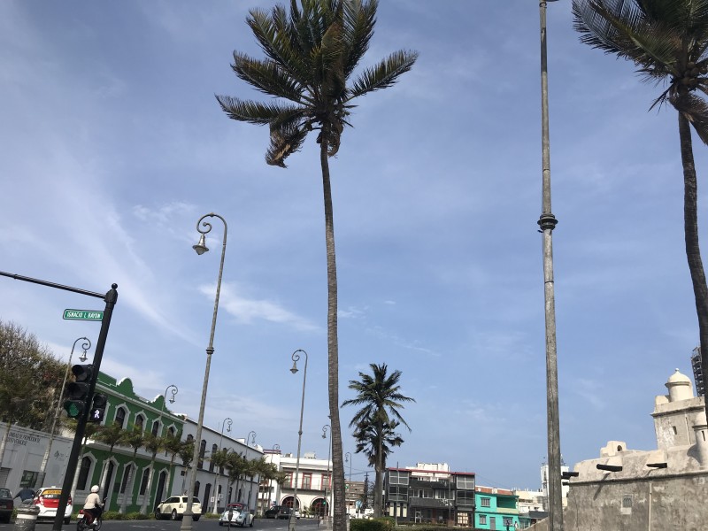 Pronostican Surada y Norte para Veracruz