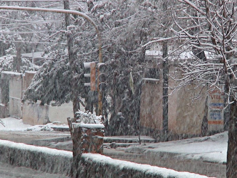 Pronósticos acertados, se registra intensa nevada en Nogales