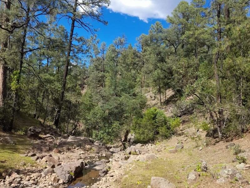 Propondrá ADM plan contra la sequía en Sonora