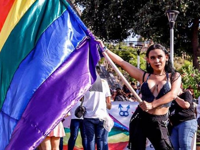 Movimiento Ciudadano propone dirección municipal de diversidad sexual