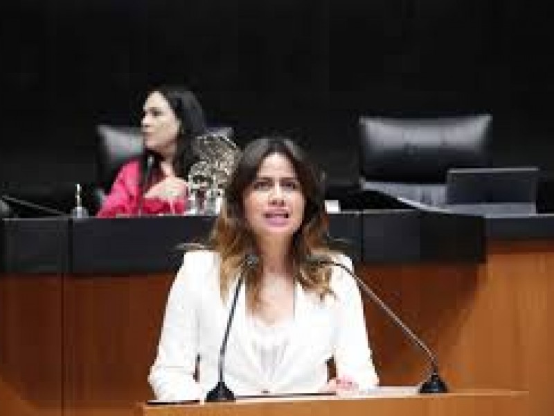 Propone senadora crear seguro de desempleo en el Estado