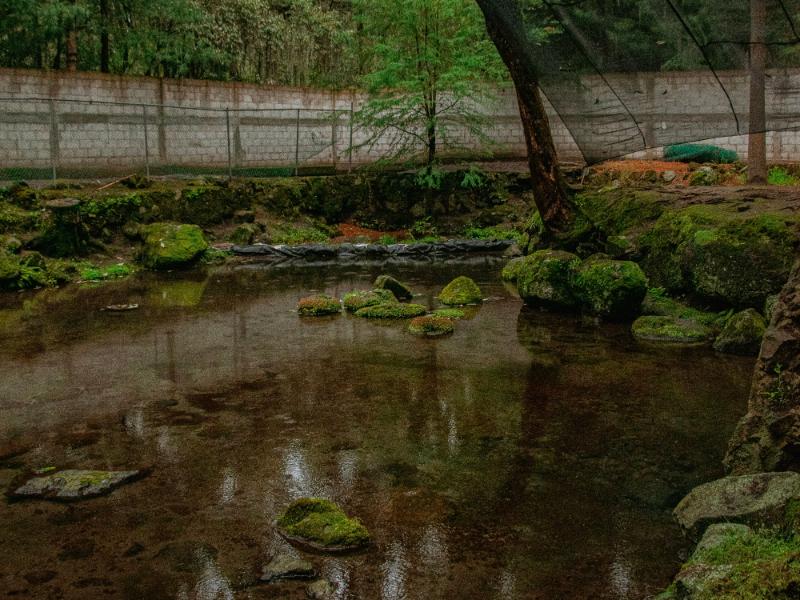 Proponen frenar expansión urbana ante déficit de agua en Edomex
