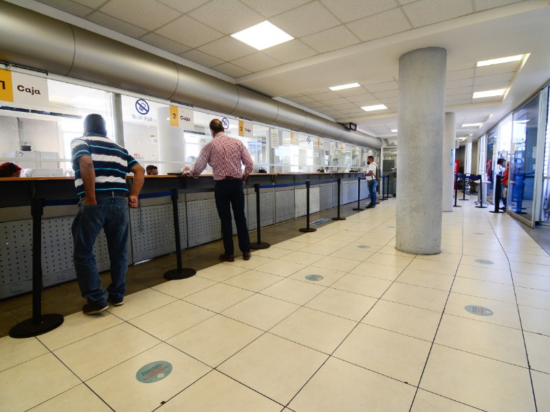 Proponen modificación en descuentos de refrendo para 2025