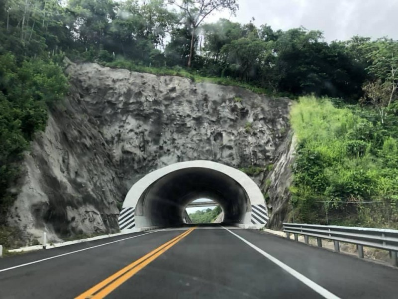 Proponen pasos de fauna en carreteras Tepic-San Blas, Las Varas