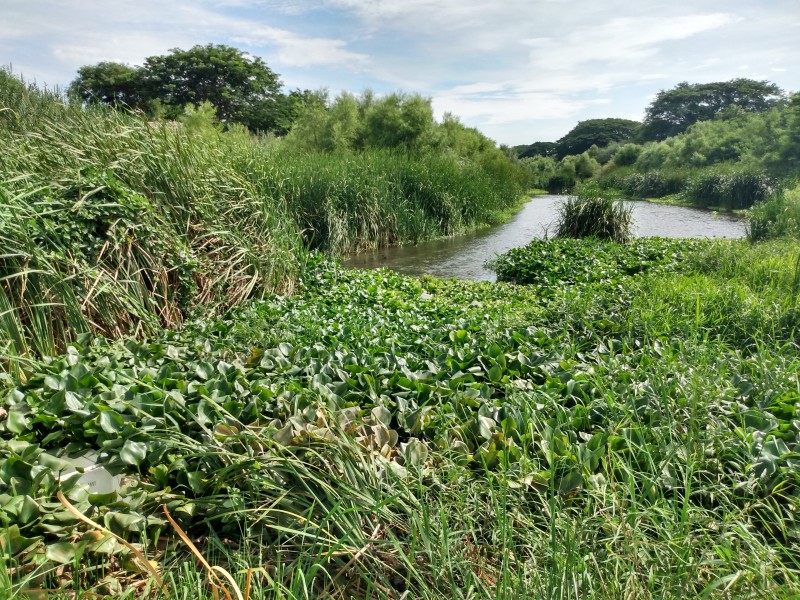 Proponen proyecto para saneamiento del río