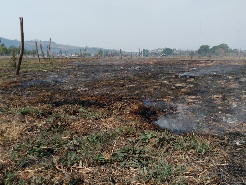 Proponen reconversión de turbera de Tepic en Área Natural Protegida