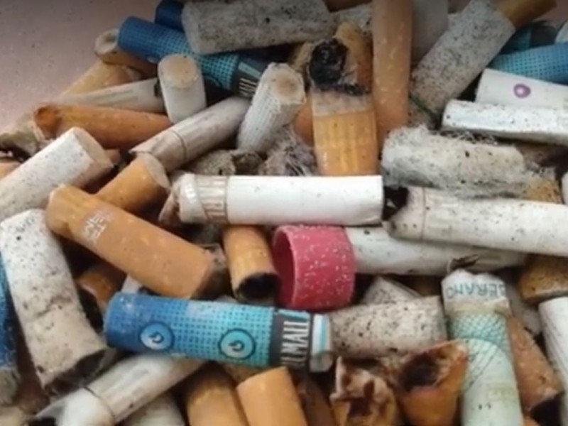 Proponen sanciones severas a quienes arrojen colillas de cigarro
