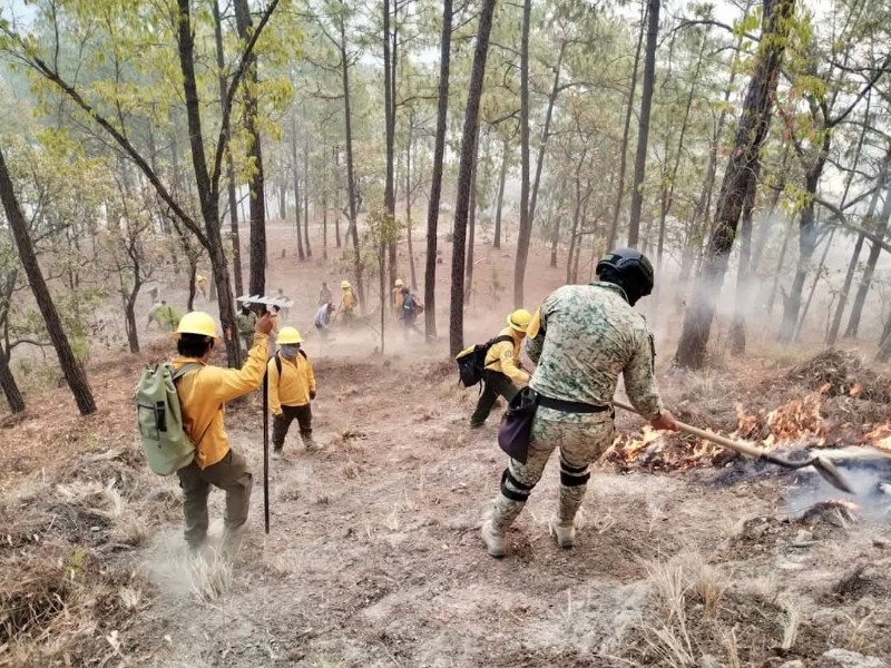 Protección Civil atiende incendios en Concordia y Badiraguato