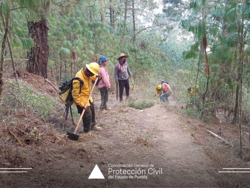 Protección Civil continúa labores con incendio en Coyomeapan