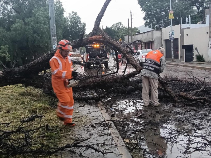 Protección Civil de Oaxaca de Juárez atiende afectaciones por lluvias recientes