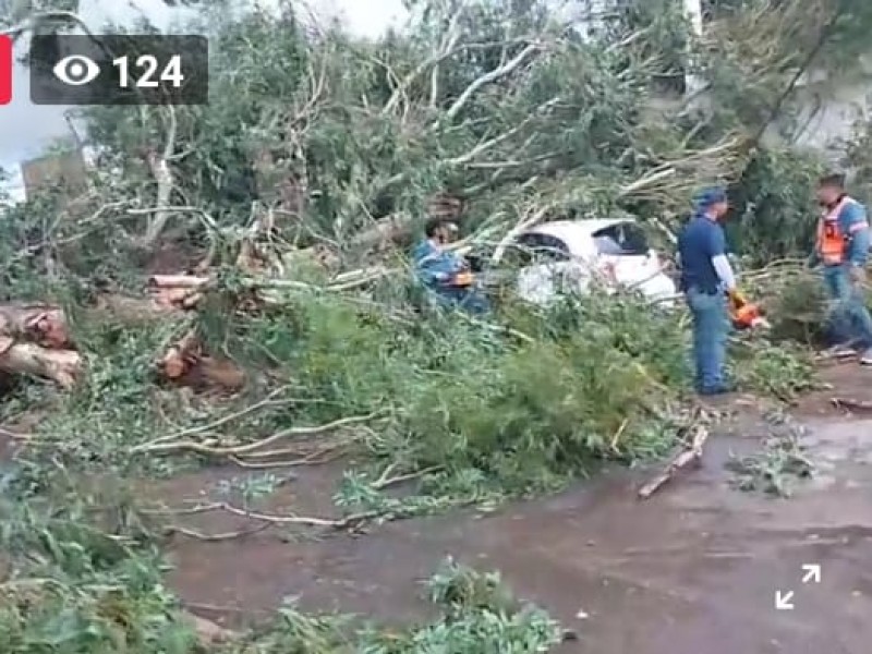 Protección Civil del Estado atiende 93 reportes por lluvias