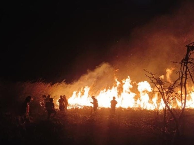Protección Civil interpone denuncia penal por incendio provocado