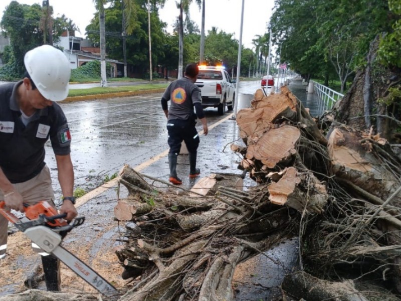 Protección Civil Tuxpan atento a pronóstico de lluvias