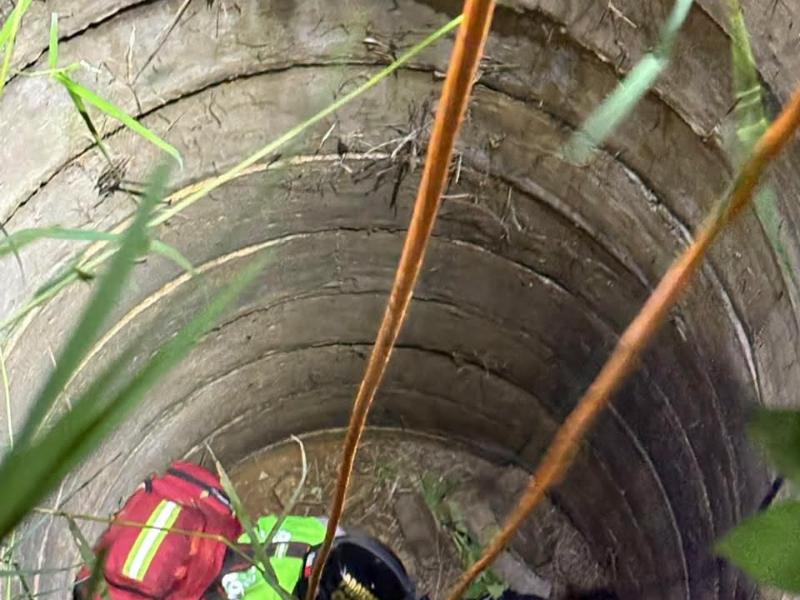 Protección Civil rescata con vida a mujer que cayó a pozo
