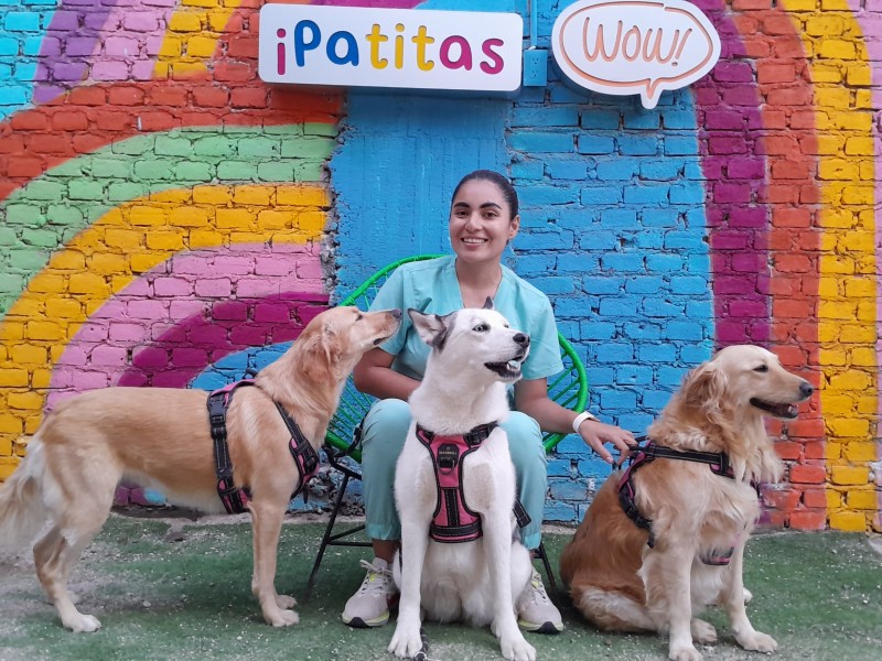 Protege a tus perritos de las bajas temperaturas