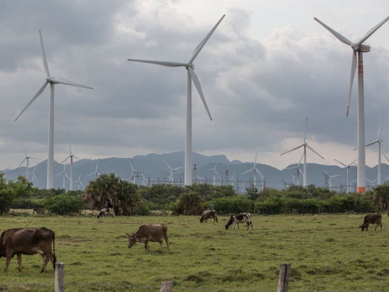 Protestan contra de la empresa Iberdrola, exigen revisión de contratos