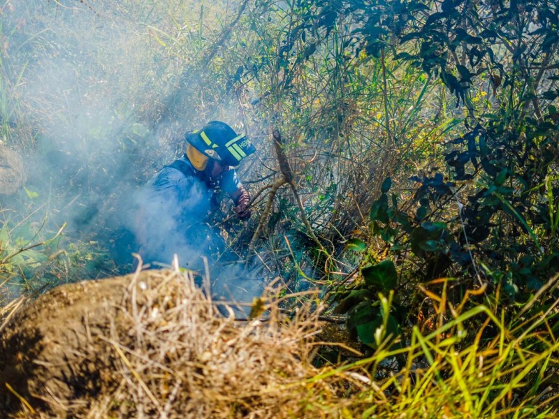 Provocan incendio en el cerro de la Cruz