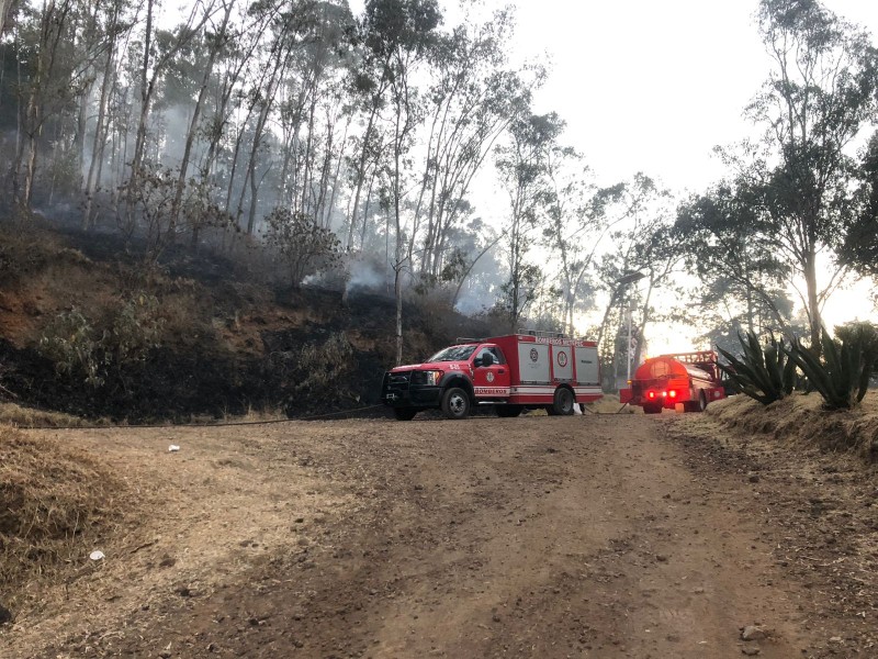 Provocan incendio en el cerro en Metepec