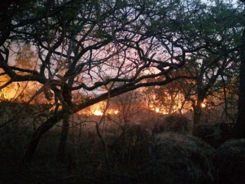 Provocan vientos 3 incendios más en La Primavera.