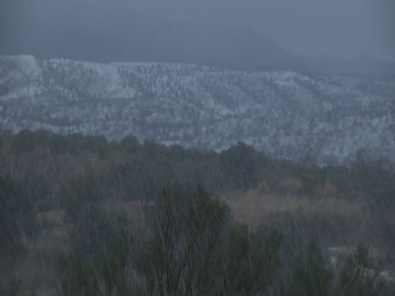 Provocará nevadas frente frío 31 en la región