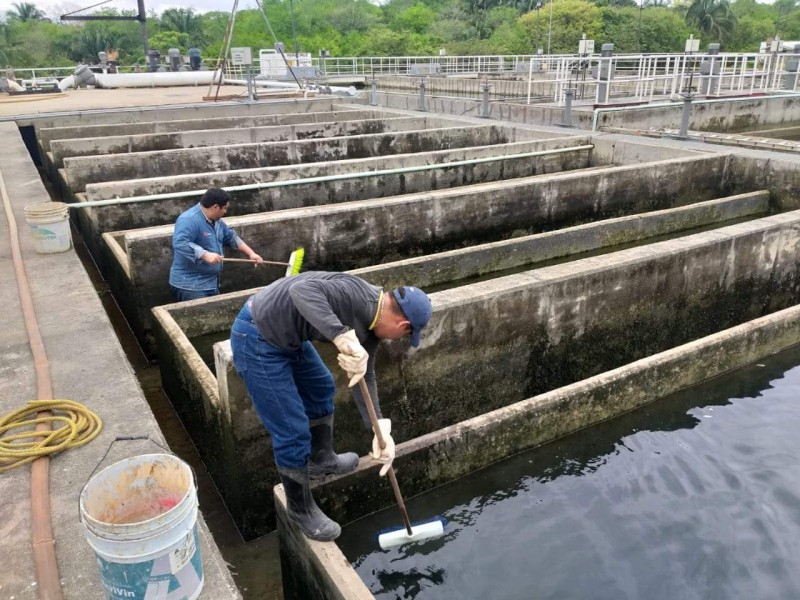 Próxima semana se normaliza tandeo en Tuxpan