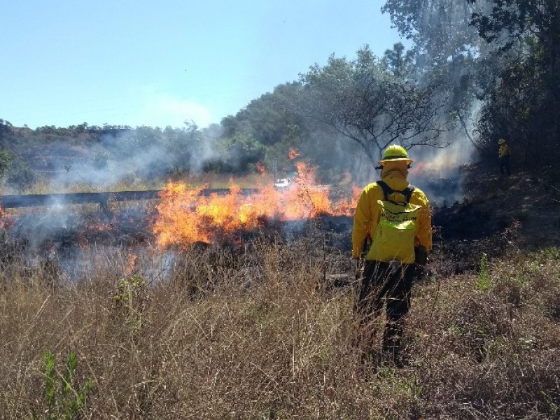 Proyecta COFONAY utilizar tecnología satelital para detectar incendios