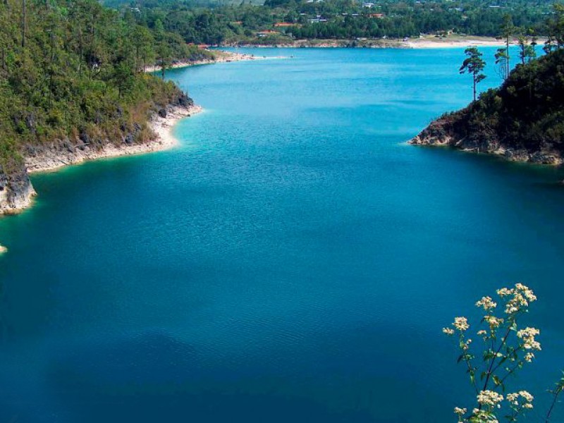 Proyectan estrategias de cuidado ambiental en Montes Azules