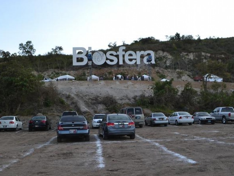 Proyecto BIÓSFERA el verdadero trasfondo de avenida Jacarandas