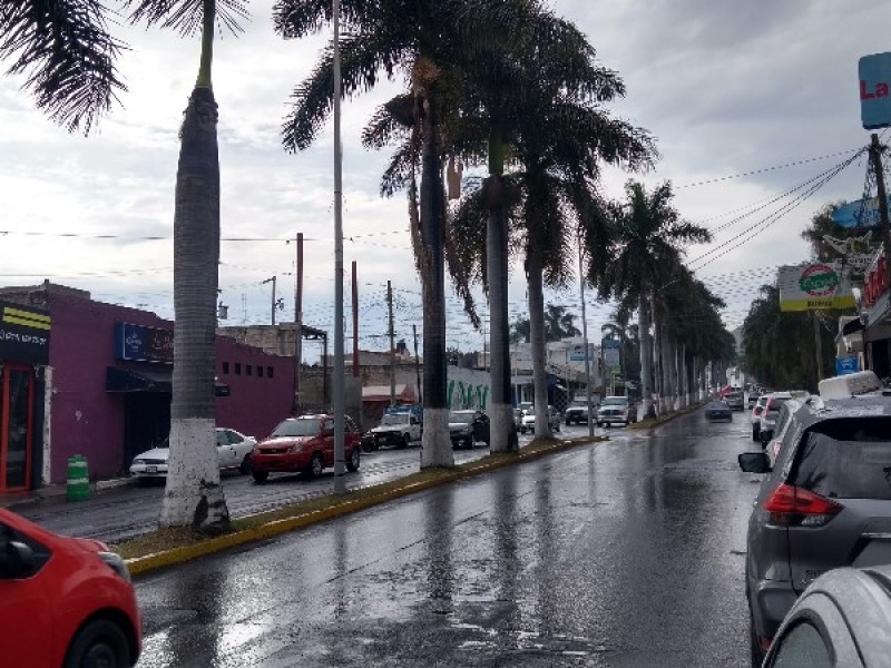 Proyecto de la avenida Jacarandas aún es desconocido