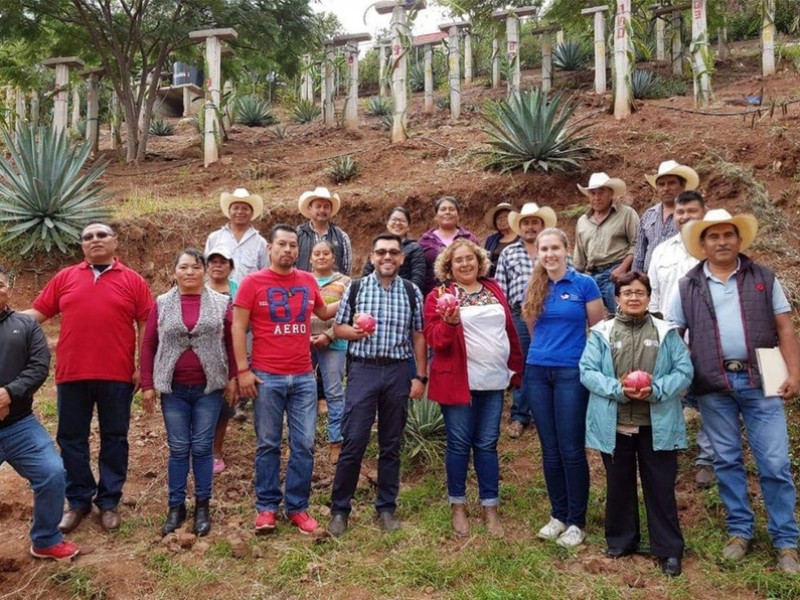 Proyecto estudiantil de pitahaya en Caltepec gana Premio Nacional