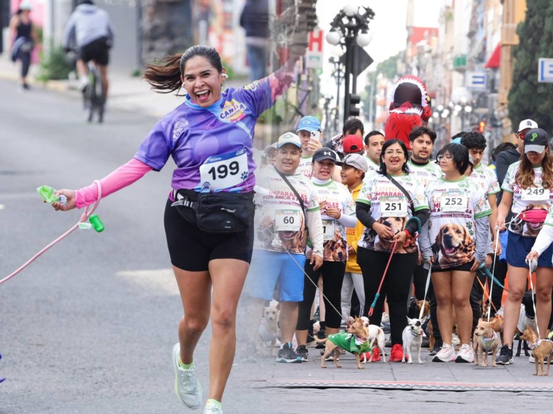 Puebla y San Andrés Cholula celebran eventos deportivos con perros