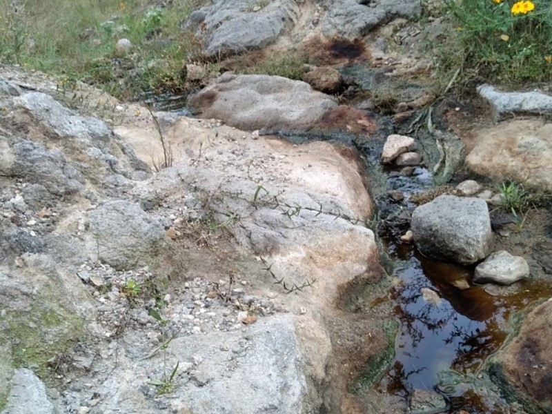 Pueblos denuncian que basureros contaminan arroyos en Zapopan