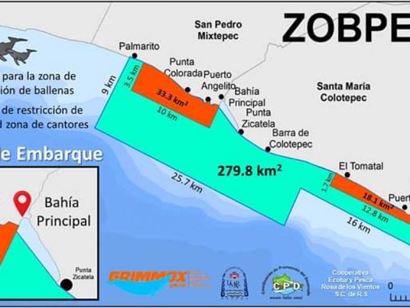 Puerto Escondido declarado zona de observación de ballenas