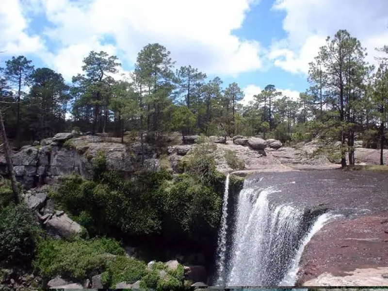 Pulmones de Durango, areas naturales protegidas