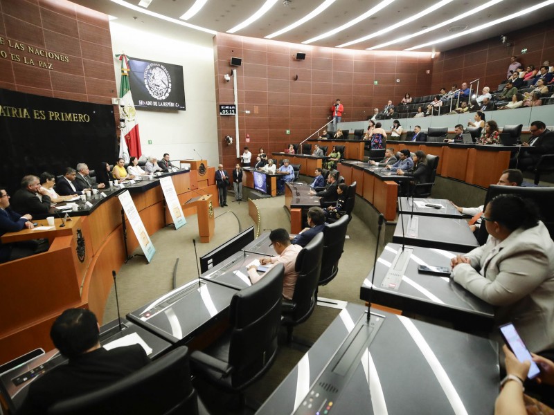 Qué es lo que hace un Senador de la República