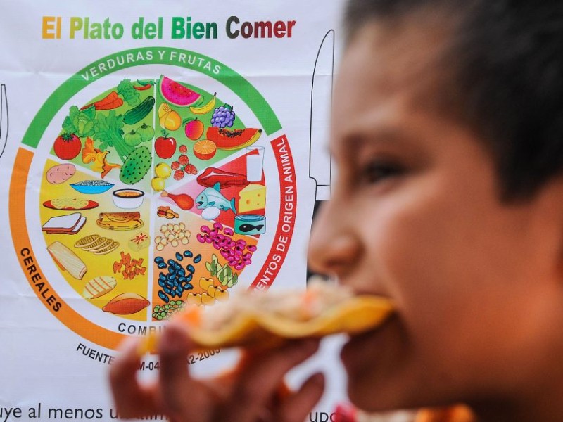 ¿Qué está pasando con la nutrición infantil en México?
