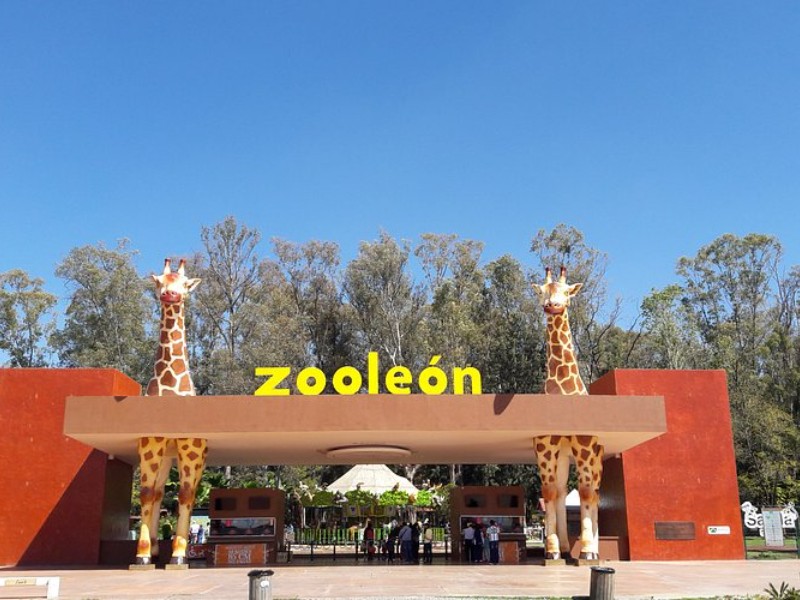 ¿Qué tan importante es que el Zoo se certifique con AZCARM?